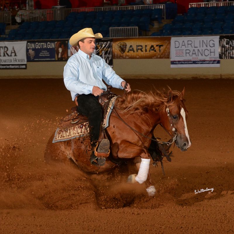 Tulsa Reining Classic Oklahoma's Official Travel